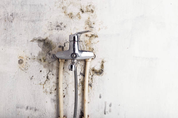 Best Mold Testing  in Mountlake Terrace, WA