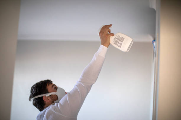 Best Mold Remediation Services  in Mountlake Terrace, WA